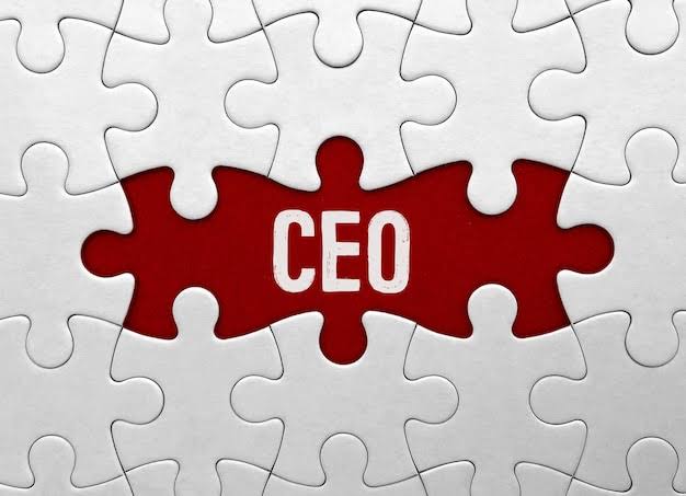 The Puzzle Of The CEO